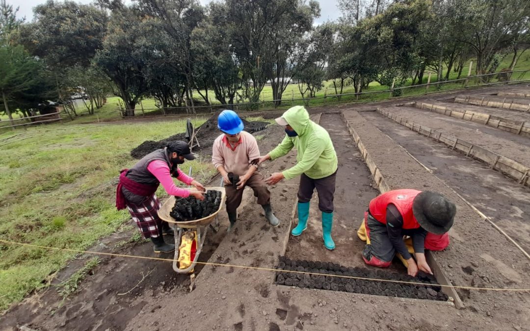 Ampliación de la capacidad del Vivero «El Yagualito»