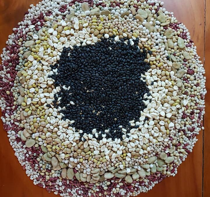 Ofrenda a la Pachamama