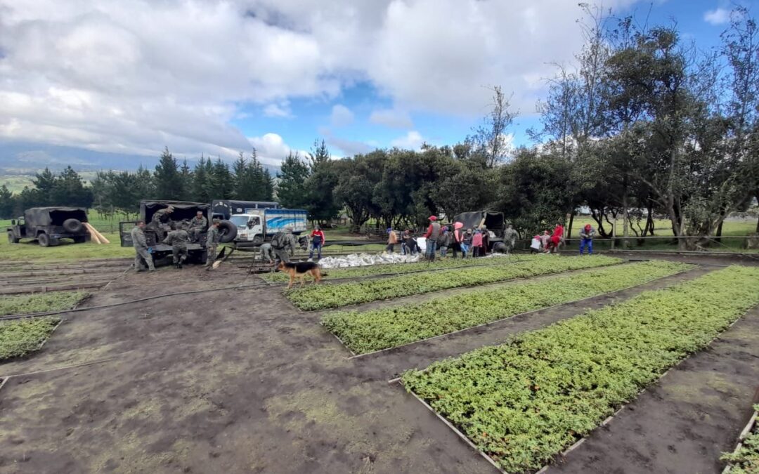 Traslado de plantas a Liguinde