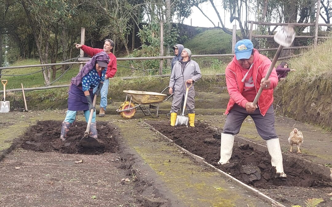 Preparación de camas