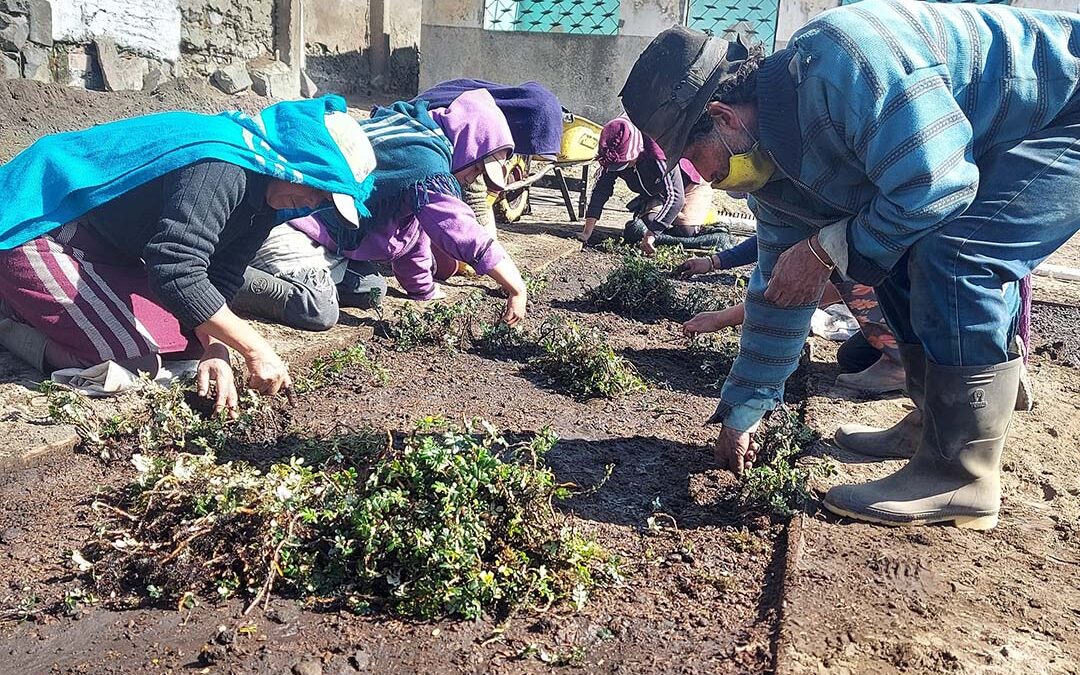 Camas para El Vivero Yagualito San Isidro