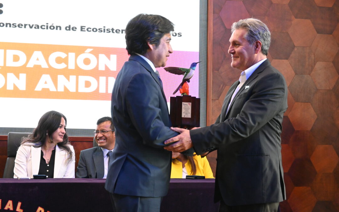 Reconocimiento: Premio Impulso 2025