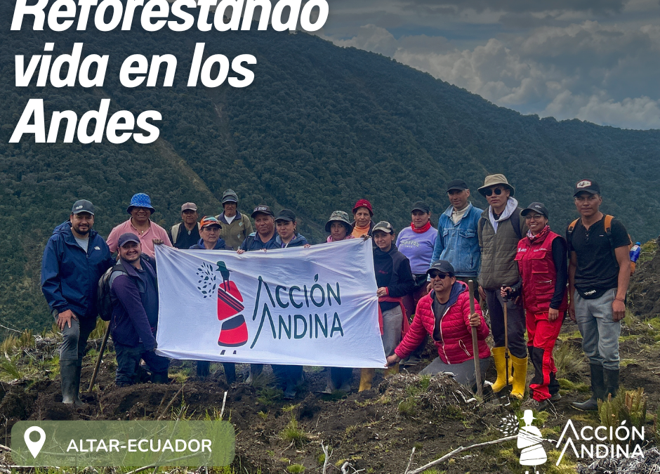 Reforestación El Altar