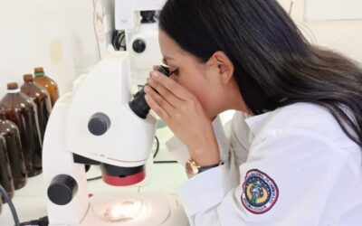 Toma de muestras de suelo y análisis fisicoquímicos para el desarrollo optimo de plantas de Yagualito