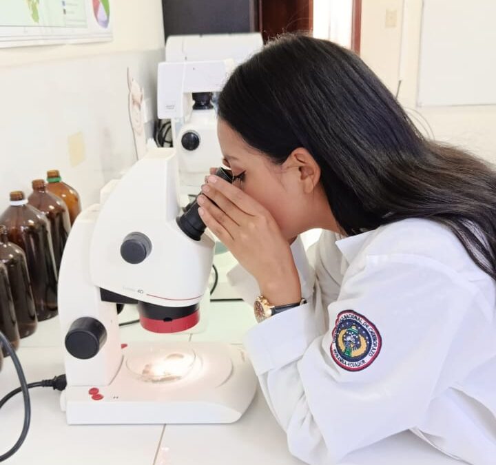 Toma de muestras de suelo y análisis fisicoquímicos para el desarrollo optimo de plantas de Yagualito