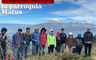 Reforestacón Matus II