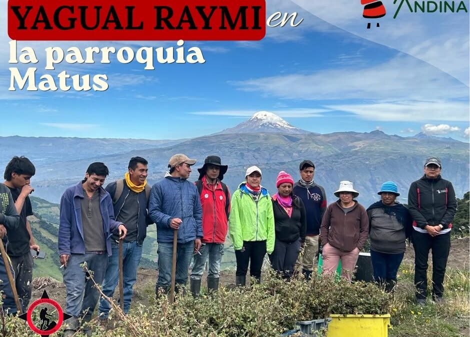 Reforestacón Matus II