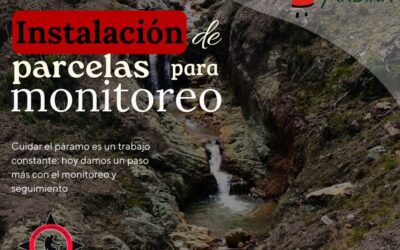 Monitoreo de Reforestaciones El Altar