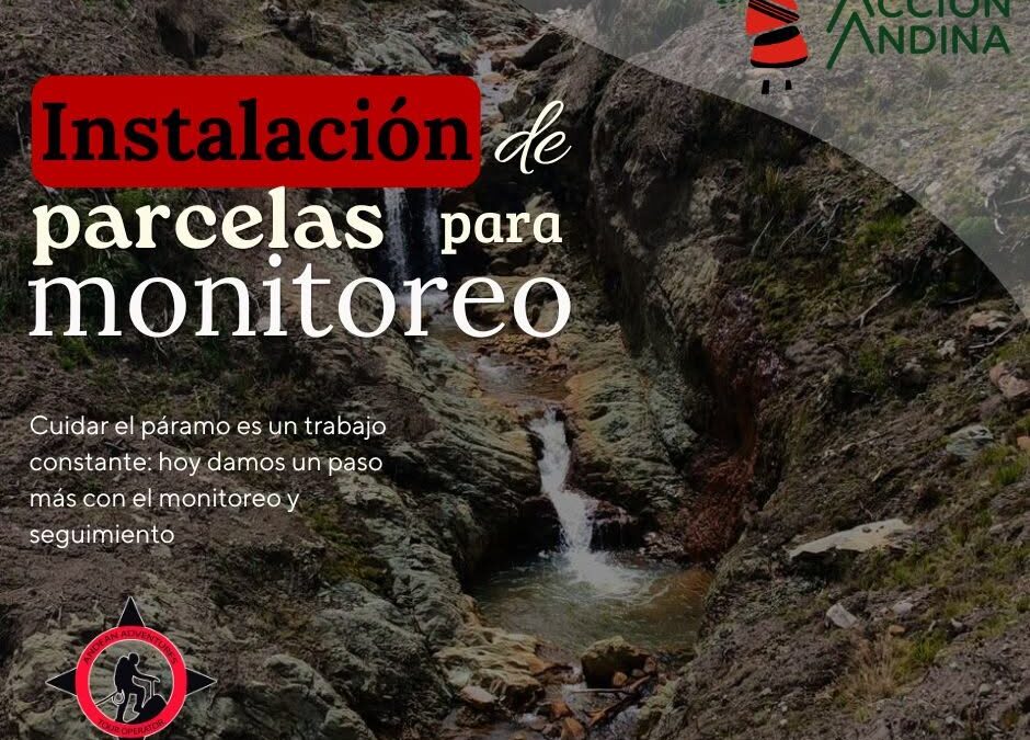 Monitoreo de Reforestaciones El Altar