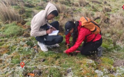 Seguimiento del estado de los plantones establecidos en nuestras áreas de reforestación
